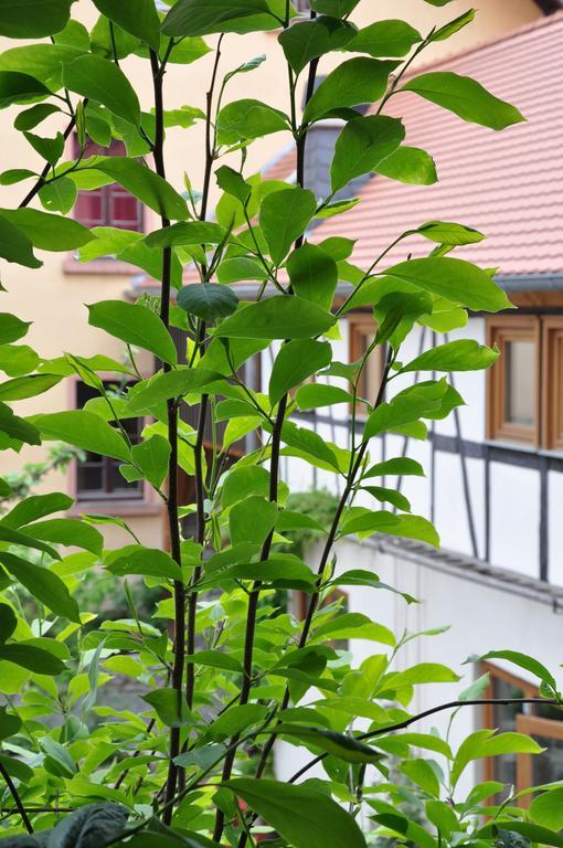 Gastezimmer Am Hof Франкфурт на Майн Екстериор снимка